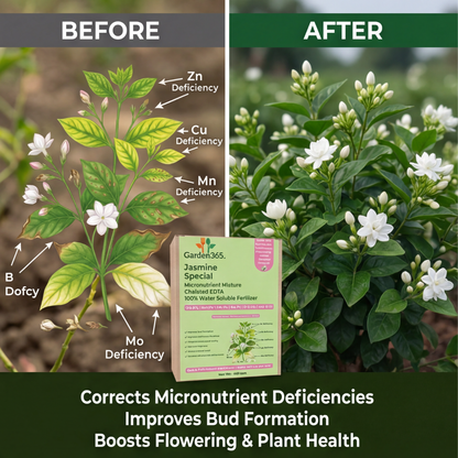 Jasmine Special Micronutrient Fertilizer  (चमेली | ಮಲ್ಲಿಗೆ | మల్లెపువ్వు | மல்லிகை | മുല്ല)  EDTA Chelated 100% Water Soluble Fertilizer – 400g per Acre