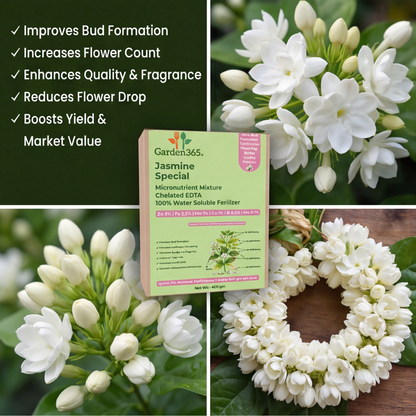 Jasmine Special Micronutrient Fertilizer  (चमेली | ಮಲ್ಲಿಗೆ | మల్లెపువ్వు | மல்லிகை | മുല്ല)  EDTA Chelated 100% Water Soluble Fertilizer – 400g per Acre