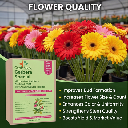Gerbera Special Micronutrient Fertilizer  (जरबेरा | ಜರ್ಬೆರಾ | గెర్బెరా | ஜெர்பெரா | ജെർബെറ)  EDTA Chelated 100% Water Soluble Fertilizer – 400g per Acre