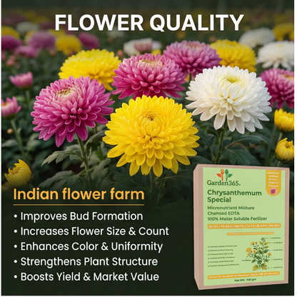 Chrysanthemum Special Micronutrient Fertilizer  (गुलदाउदी | ಚಂಡು ಹೂವು | చామంతి | செம்பருத்தி / க்ரிசாந்தமம் | ശെവന്തി)  EDTA Chelated 100% Water Soluble Fertilizer – 400g per Acre