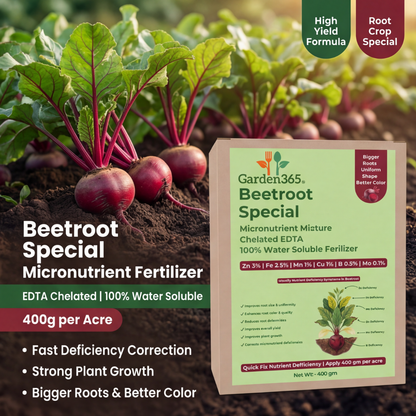 Beetroot Special Micronutrient Fertilizer  (चुकंदर | ಬೀಟ್ ರೂಟ್ | బీట్‌రూట్ | பீட்ரூட் | ബീറ്റ്റൂട്ട്)  EDTA Chelated 100% Water Soluble Fertilizer – 400g per Acre