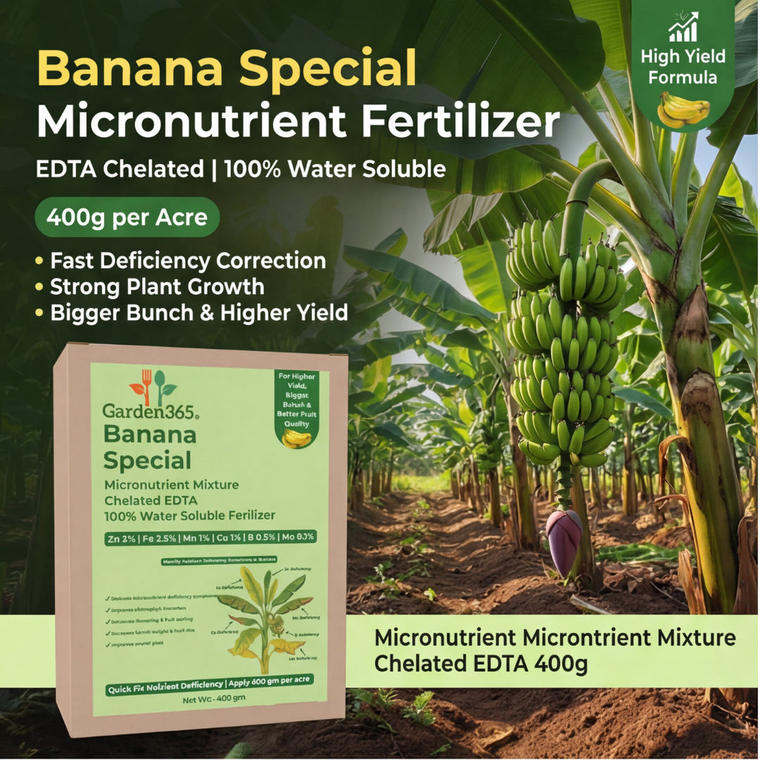 Banana Special Micronutrient Fertilizer  (केला | ಬಾಳೆಹಣ್ಣು | అరటి | வாழைப்பழம் | വാഴപ്പഴം)  EDTA Chelated 100% Water Soluble Fertilizer – 400g per Acre