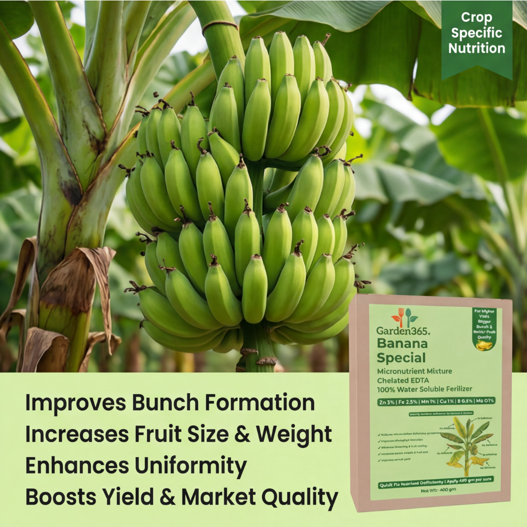Banana Special Micronutrient Fertilizer  (केला | ಬಾಳೆಹಣ್ಣು | అరటి | வாழைப்பழம் | വാഴപ്പഴം)  EDTA Chelated 100% Water Soluble Fertilizer – 400g per Acre