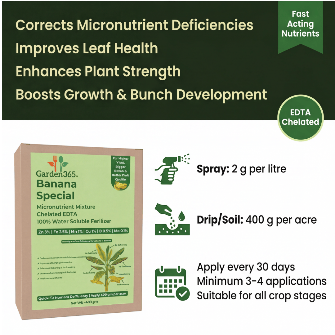 Banana Special Micronutrient Fertilizer  (केला | ಬಾಳೆಹಣ್ಣು | అరటి | வாழைப்பழம் | വാഴപ്പഴം)  EDTA Chelated 100% Water Soluble Fertilizer – 400g per Acre