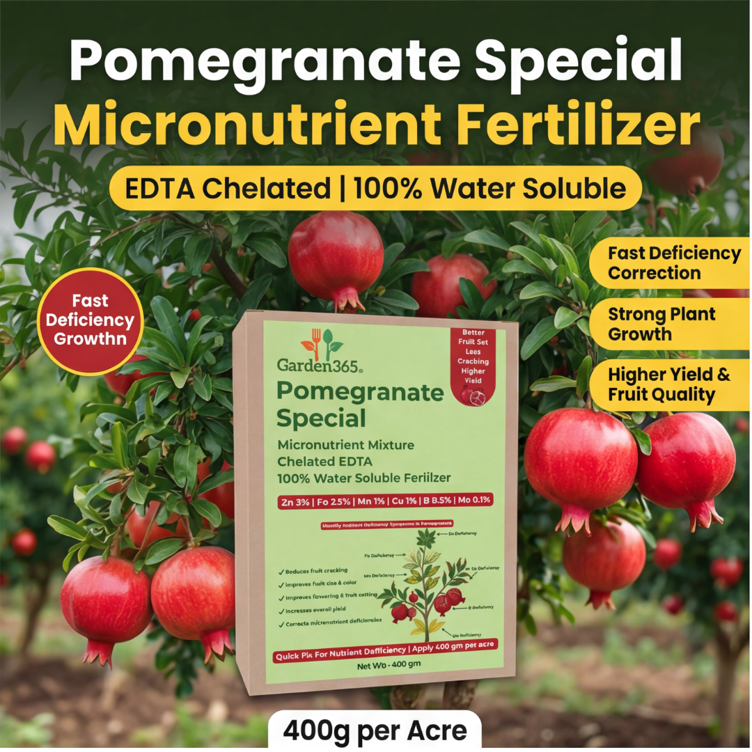 Pomegranate Special Micronutrient Fertilizer  (अनार | ದಾಳಿಂಬೆ | దానిమ్మ | மாதுளை | മാതളനാരങ്ങ)  EDTA Chelated 100% Water Soluble Fertilizer – 400g per Acre
