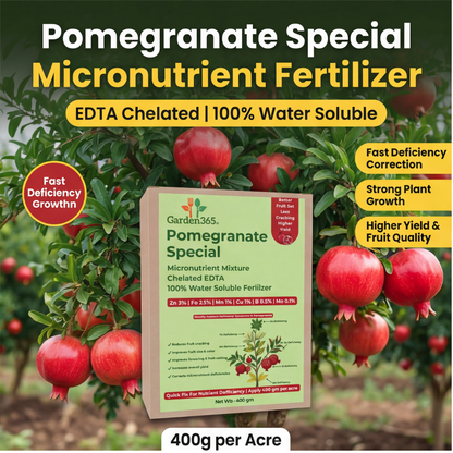 Pomegranate Special Micronutrient Fertilizer  (अनार | ದಾಳಿಂಬೆ | దానిమ్మ | மாதுளை | മാതളനാരങ്ങ)  EDTA Chelated 100% Water Soluble Fertilizer – 400g per Acre