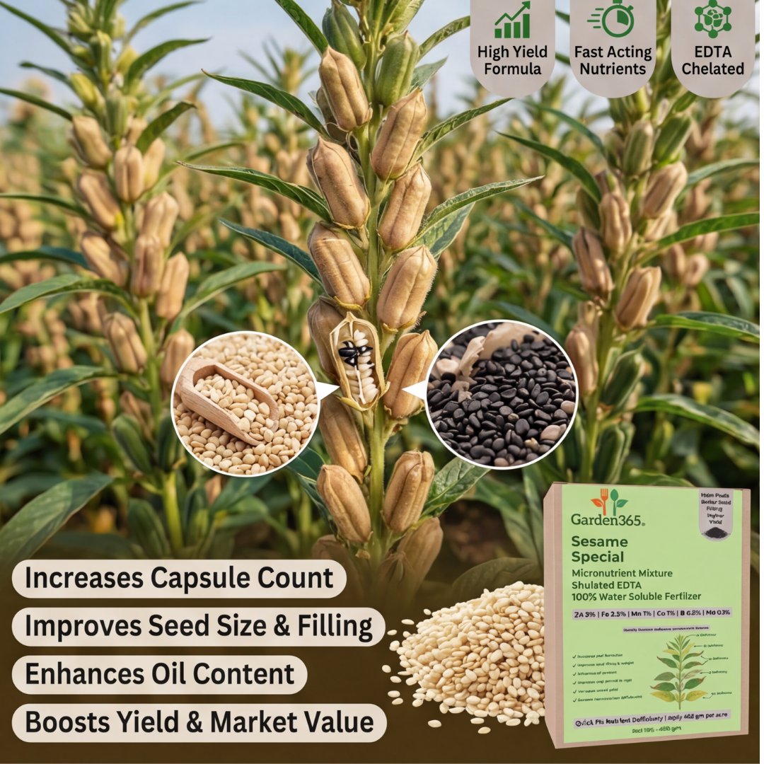 Sesame Special Micronutrient Fertilizer  (तिल | ಎಳ್ಳು | నువ్వులు | எள் | എള്ള്)  EDTA Chelated 100% Water Soluble Fertilizer – 400g per Acre