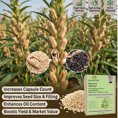 Sesame Special Micronutrient Fertilizer  (तिल | ಎಳ್ಳು | నువ్వులు | எள் | എള്ള്)  EDTA Chelated 100% Water Soluble Fertilizer – 400g per Acre
