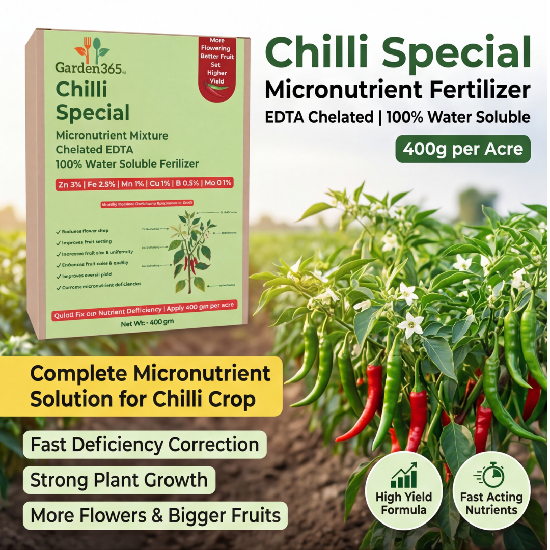 Chilli Special Micronutrient Fertilizer  (मिर्च | ಮೆಣಸಿನಕಾಯಿ | మిరపకాయ | மிளகாய் | മുളക്)  EDTA Chelated 100% Water Soluble Fertilizer – 400g per Acre
