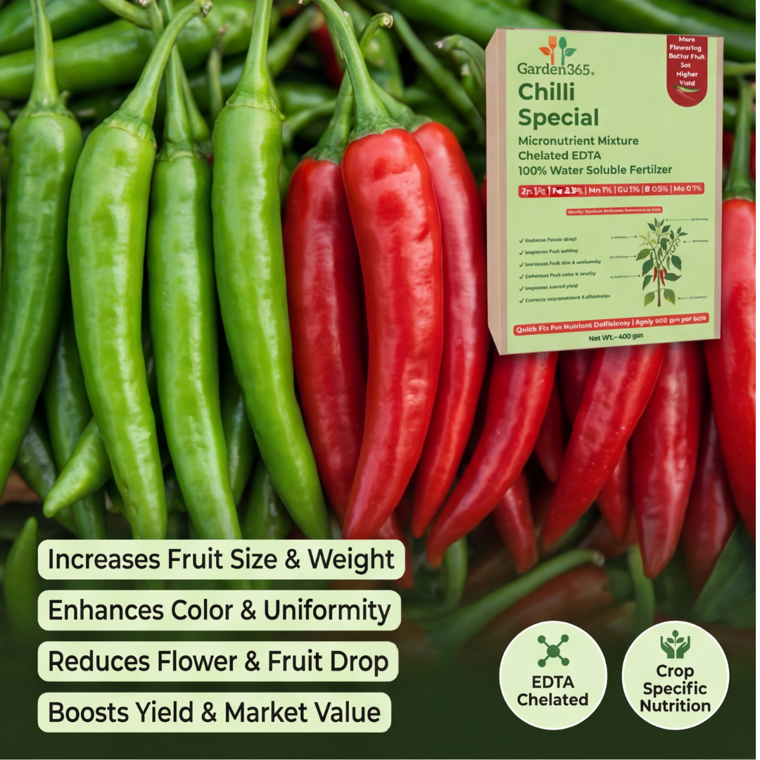 Chilli Special Micronutrient Fertilizer  (मिर्च | ಮೆಣಸಿನಕಾಯಿ | మిరపకాయ | மிளகாய் | മുളക്)  EDTA Chelated 100% Water Soluble Fertilizer – 400g per Acre