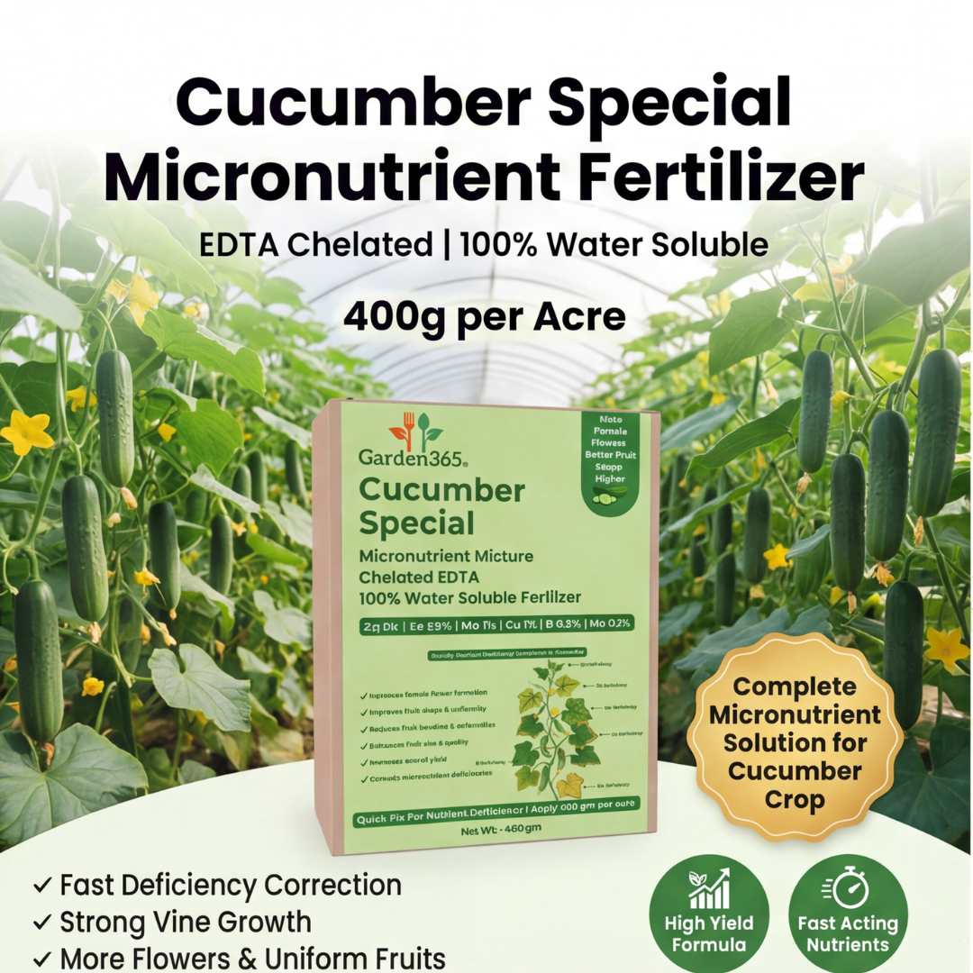 Cucumber Special Micronutrient Fertilizer  (खीरा | ಸೌತೆಕಾಯಿ | దోసకాయ | வெள்ளரிக்காய் | വെള്ളരിക്ക)  EDTA Chelated 100% Water Soluble Fertilizer – 400g per Acre