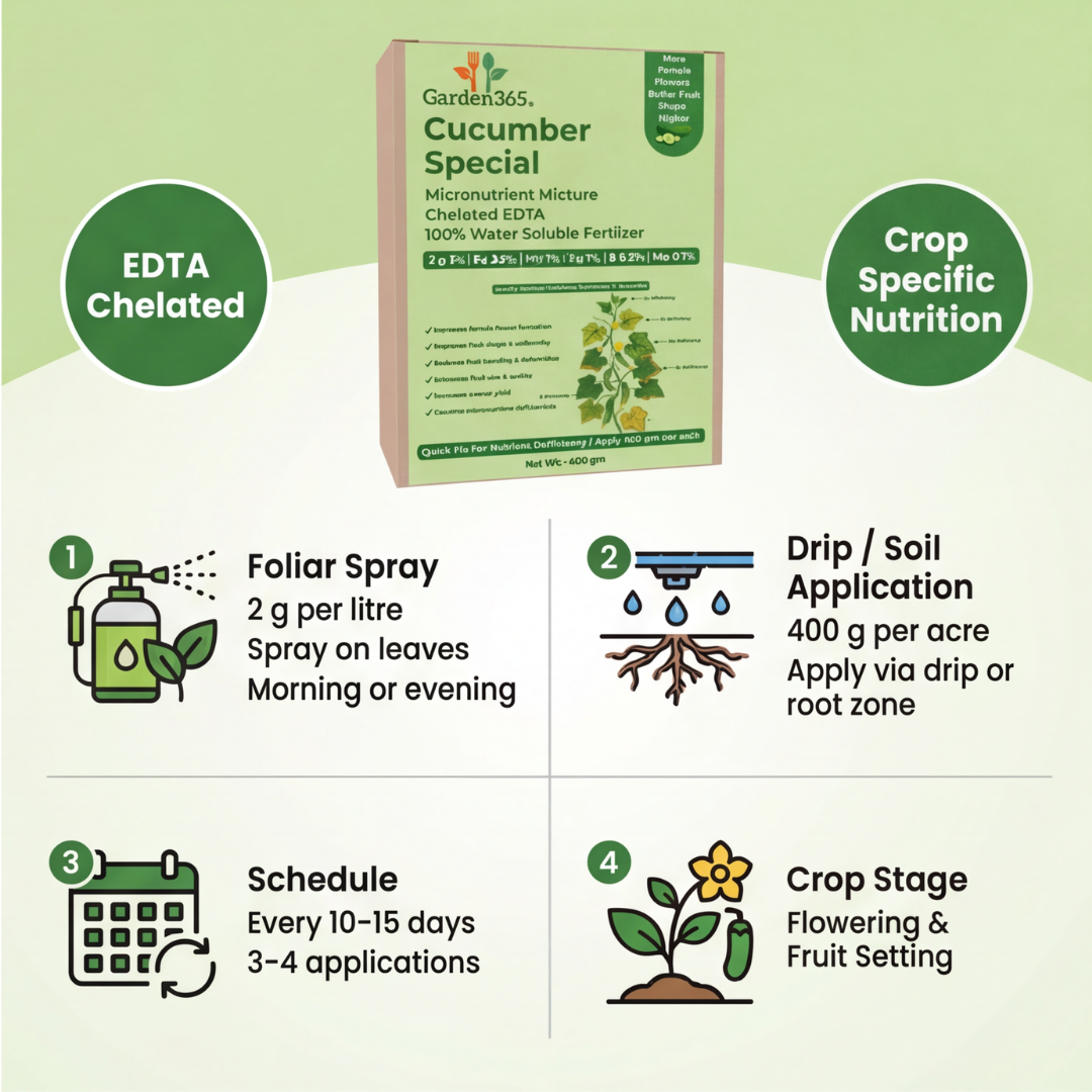 Cucumber Special Micronutrient Fertilizer  (खीरा | ಸೌತೆಕಾಯಿ | దోసకాయ | வெள்ளரிக்காய் | വെള്ളരിക്ക)  EDTA Chelated 100% Water Soluble Fertilizer – 400g per Acre