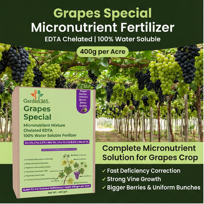 Grapes Special Micronutrient Fertilizer  (अंगूर | ದ್ರಾಕ್ಷಿ | ద్రాక్ష | திராட்சை | മുന്തിരി)  EDTA Chelated 100% Water Soluble Fertilizer – 400g per Acre