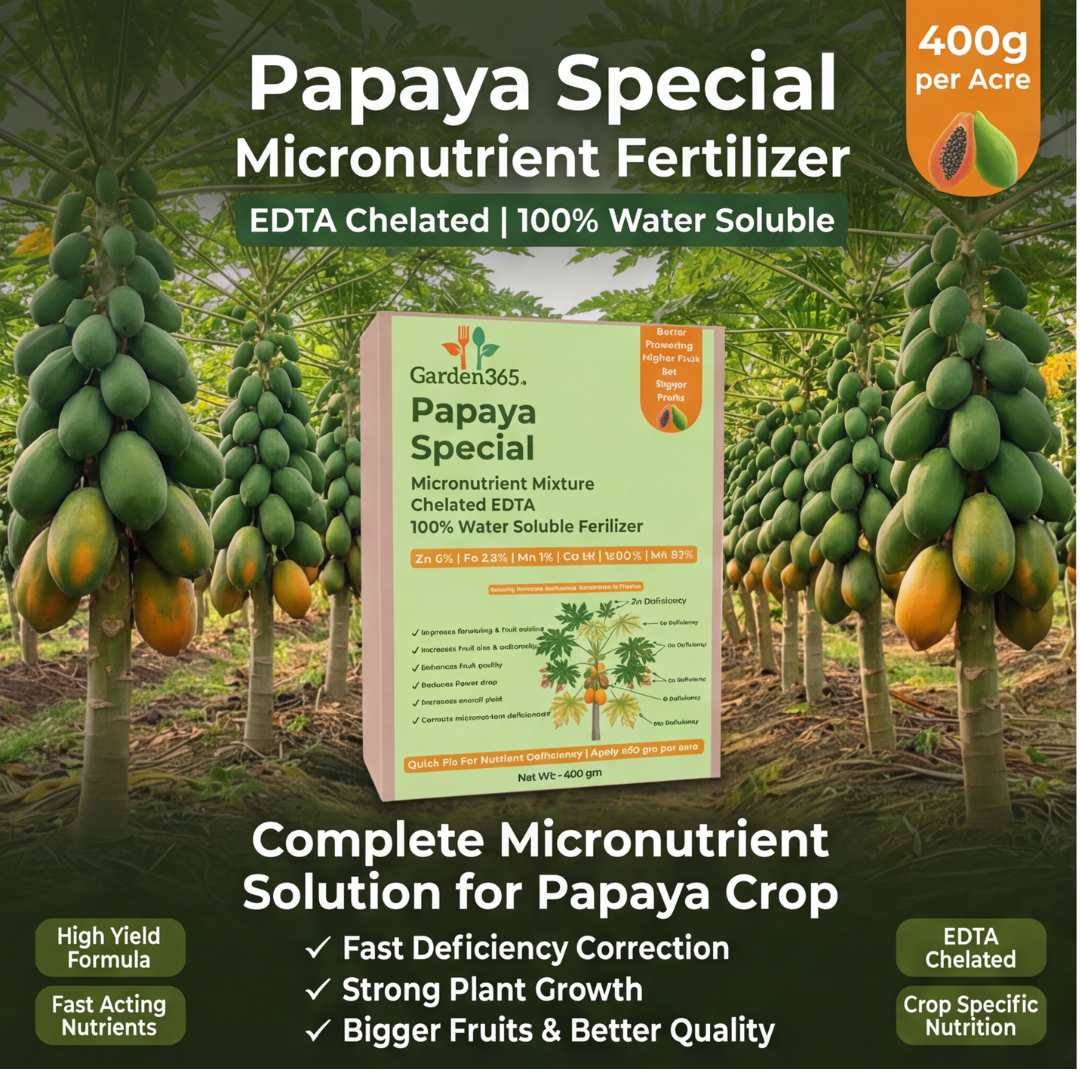 Papaya Special Micronutrient Fertilizer  (पपीता | ಪಪ್ಪಾಯಿ | బొప్పాయి | பப்பாளி | പപ്പായ)  EDTA Chelated 100% Water Soluble Fertilizer – 400g per Acre