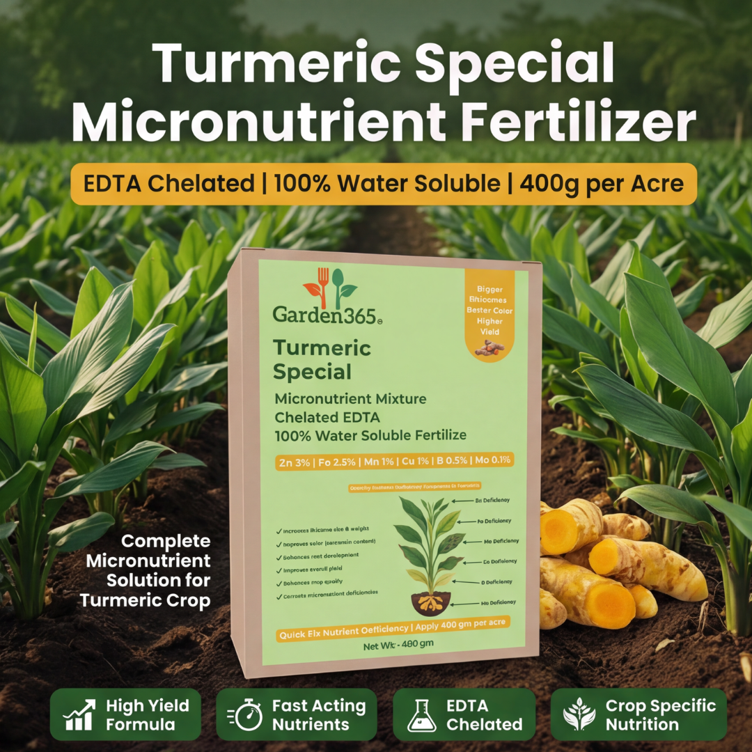 Turmeric Special Micronutrient Fertilizer  (हल्दी | ಅರಿಶಿನ | పసుపు | மஞ்சள் | മഞ്ഞൾ)  EDTA Chelated 100% Water Soluble Fertilizer – 400g per Acre