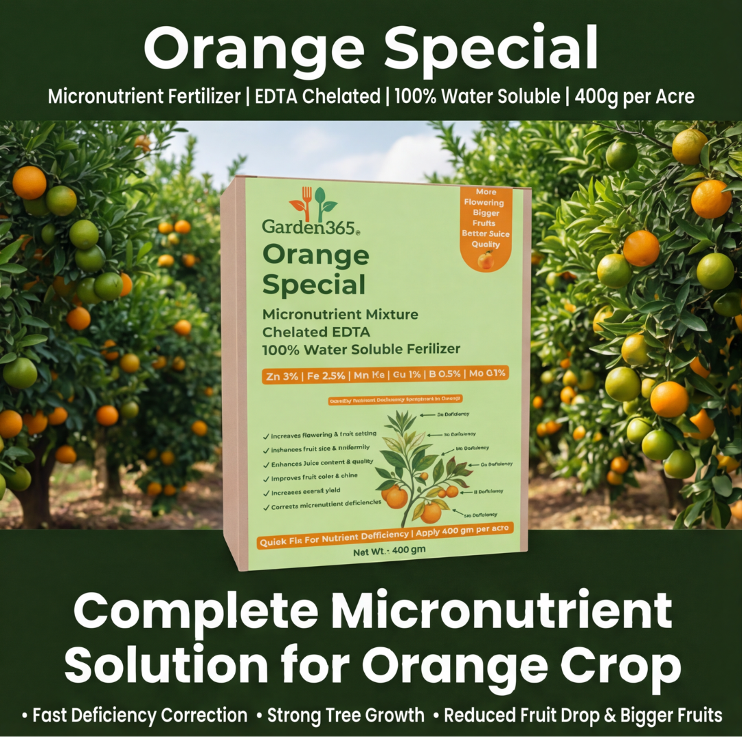 Orange Special Micronutrient Fertilizer  (संतरा | ಕಿತ್ತಳೆ | కమలా పండు | ஆரஞ்சு | ഓറഞ്ച്)  EDTA Chelated 100% Water Soluble Fertilizer – 400g per Acre