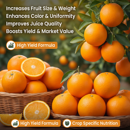 Orange Special Micronutrient Fertilizer  (संतरा | ಕಿತ್ತಳೆ | కమలా పండు | ஆரஞ்சு | ഓറഞ്ച്)  EDTA Chelated 100% Water Soluble Fertilizer – 400g per Acre