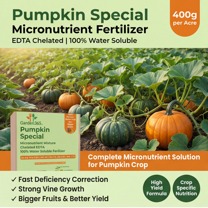 Pumpkin Special Micronutrient Fertilizer  (कद्दू | ಕುಂಬಳಕಾಯಿ | గుమ్మడికాయ | பூசணிக்காய் | മത്തങ്ങ)  EDTA Chelated 100% Water Soluble Fertilizer – 400g per Acre