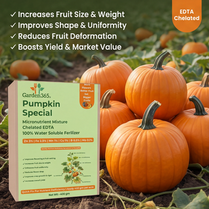 Pumpkin Special Micronutrient Fertilizer  (कद्दू | ಕುಂಬಳಕಾಯಿ | గుమ్మడికాయ | பூசணிக்காய் | മത്തങ്ങ)  EDTA Chelated 100% Water Soluble Fertilizer – 400g per Acre