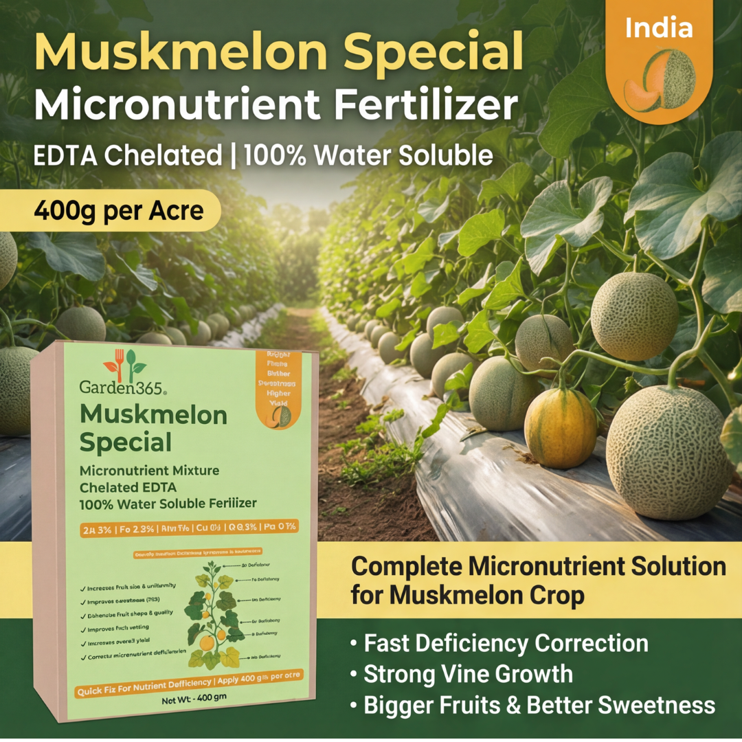 Muskmelon Special Micronutrient Fertilizer  (खरबूजा | ಕರ್ಬೂಜ | ఖర్బూజ | முலாம்பழம் | മുലാംപഴം)  EDTA Chelated 100% Water Soluble Fertilizer – 400g per Acre