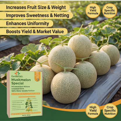 Muskmelon Special Micronutrient Fertilizer  (खरबूजा | ಕರ್ಬೂಜ | ఖర్బూజ | முலாம்பழம் | മുലാംപഴം)  EDTA Chelated 100% Water Soluble Fertilizer – 400g per Acre