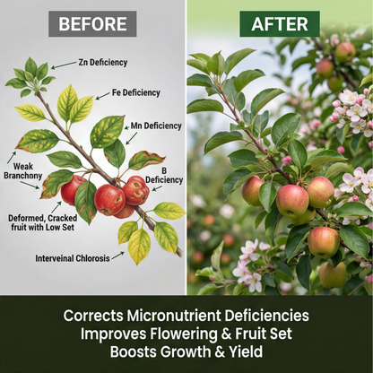 Apple Special Micronutrient Fertilizer  (सेब | ಸೇಬು | ఆపిల్ | ஆப்பிள் | ആപ്പിൾ)  EDTA Chelated 100% Water Soluble Fertilizer – 400g per Acre