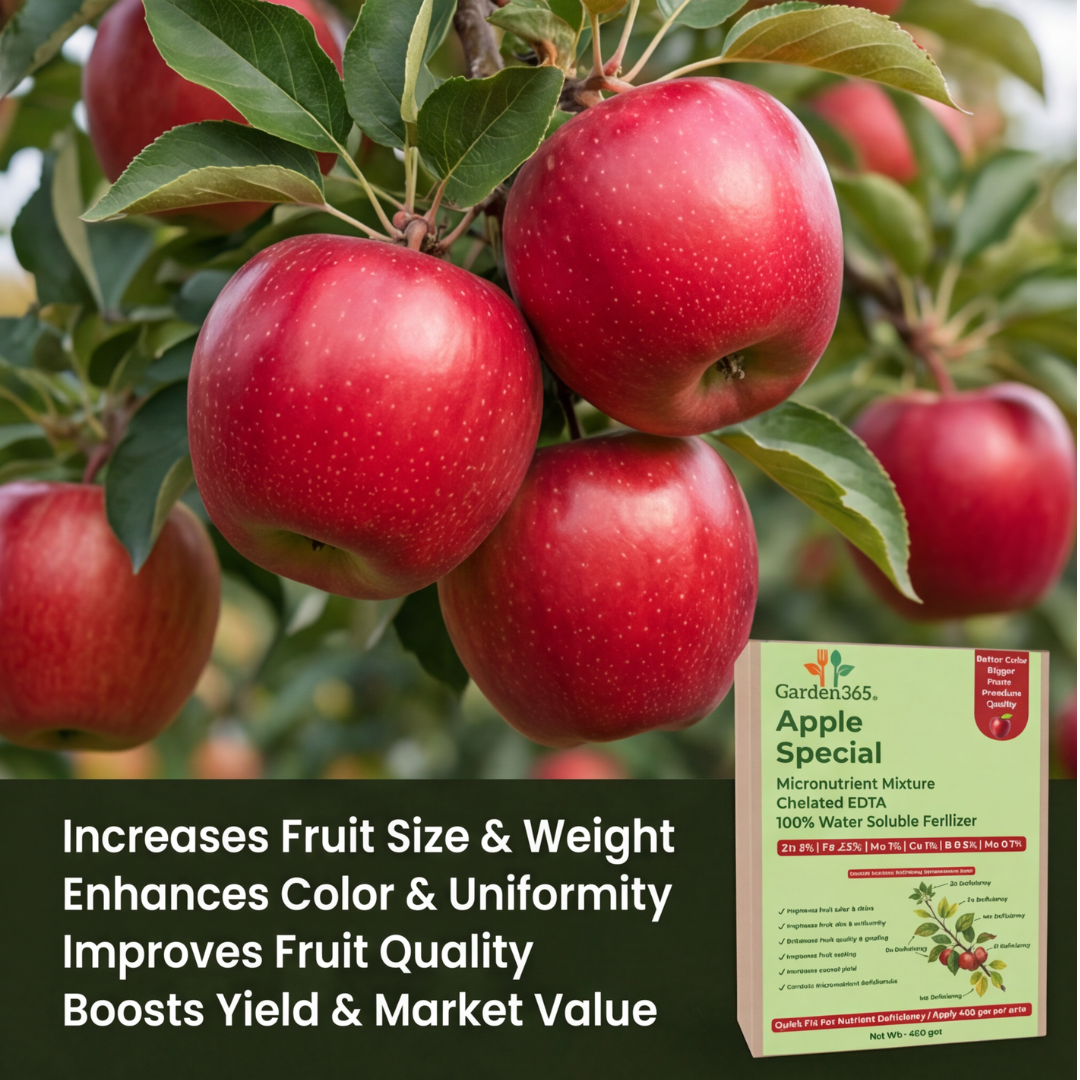 Apple Special Micronutrient Fertilizer  (सेब | ಸೇಬು | ఆపిల్ | ஆப்பிள் | ആപ്പിൾ)  EDTA Chelated 100% Water Soluble Fertilizer – 400g per Acre