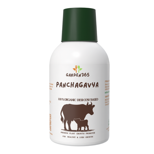 Panchagavya Liquid for Plants – 250 ml | desi cow based rich in nutrients Garden365