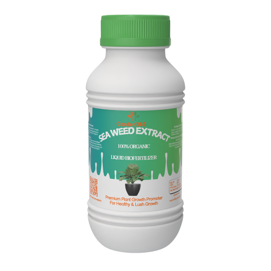 Seaweed Extract Liquid – Natural Plant Growth Booster (100 ML) 🌿🌊 - Garden365
