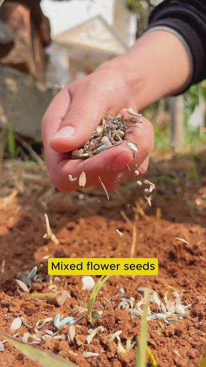 Mixed Flower Seeds Gift Pack (23 Varieties | 3000+ Seeds)