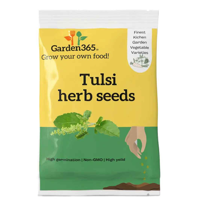 Tulsi  Seeds (Holy Basil)