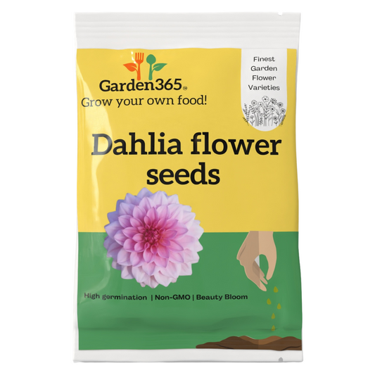 Dahlia Flower Seeds - Garden365