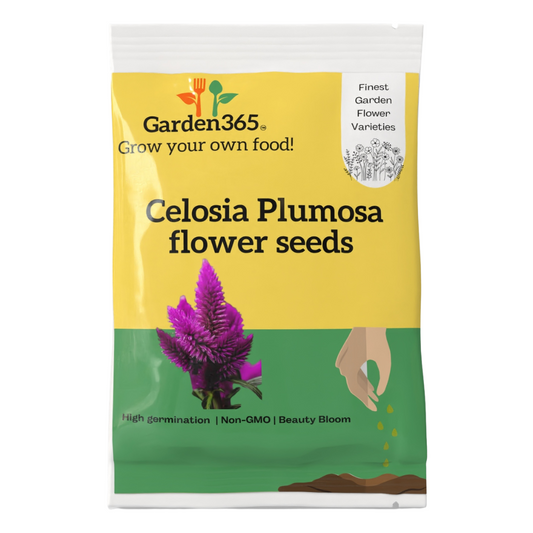 Celosia Plumosa (Cockscomb) Flower Seeds - Garden365