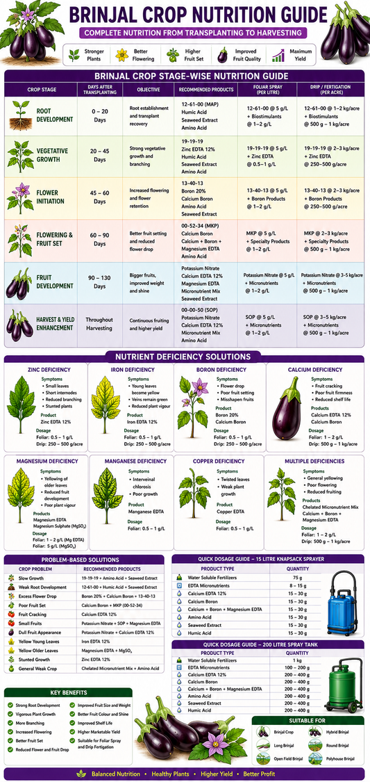 Brinjal Crop Nutrition | Fertilizers, Micronutrients & Biostimulants for Brinjal Crop