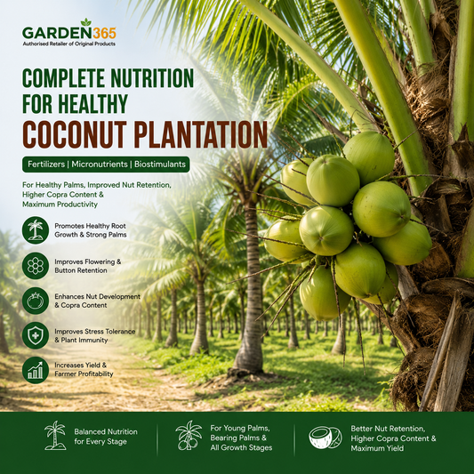 Coconut Plantation Nutrition | Fertilizers, Micronutrients & Biostimulants for Coconut Plantation