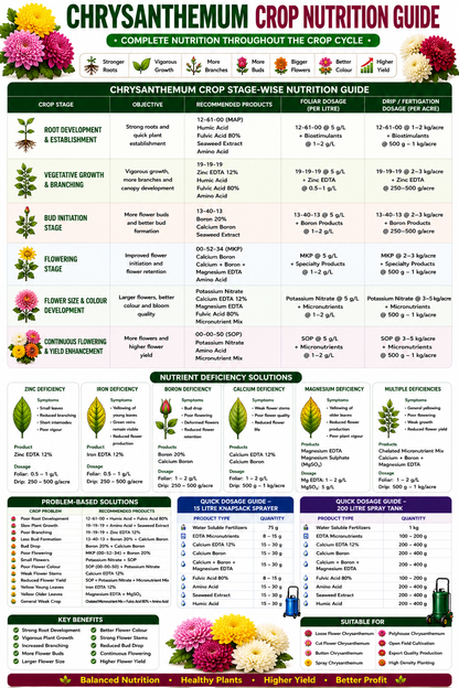 Chrysanthemum Crop Nutrition | Fertilizers, Micronutrients & Biostimulants for Chrysanthemum Crop