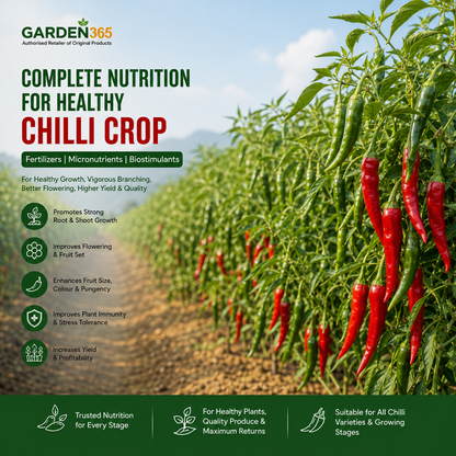 Chilli Crop Nutrition | Fertilizers, Micronutrients & Biostimulants for Chilli Crop