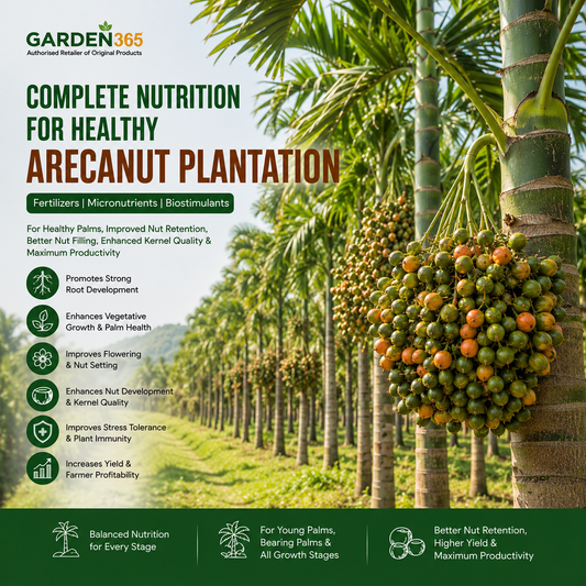 Arecanut Plantation Nutrition | Fertilizers, Micronutrients & Biostimulants for Arecanut Plantation